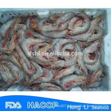 HL002 wild frozen louisiana shrimp